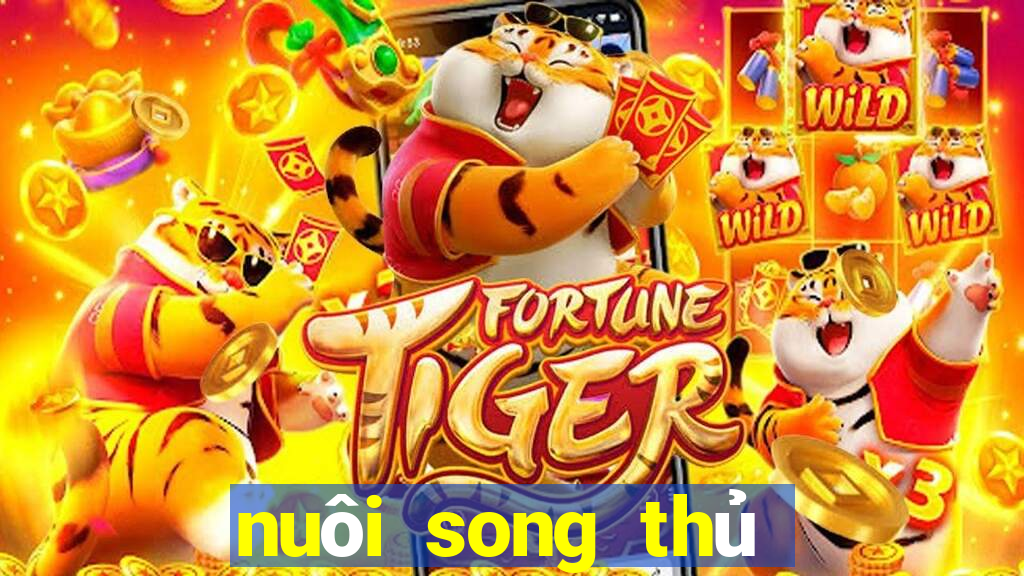 nuôi song thủ lô khung 2ngay