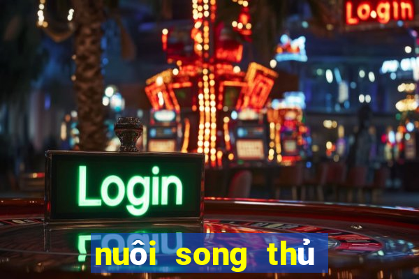 nuôi song thủ lô khung 2ngay