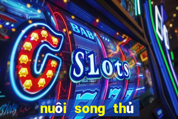 nuôi song thủ lô khung 2ngay