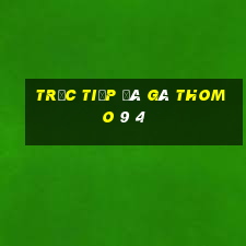 trực tiếp đá gà thomo 9 4