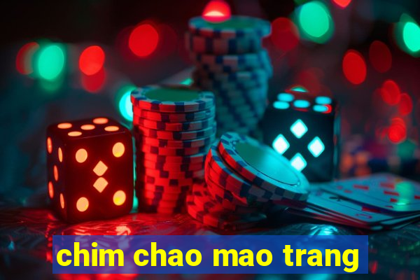 chim chao mao trang