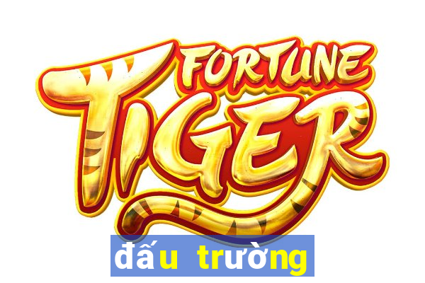 đấu trường sinh tử 1 full hd