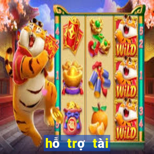 hỗ trợ tài xỉu online