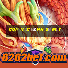 con mực đánh số mấy