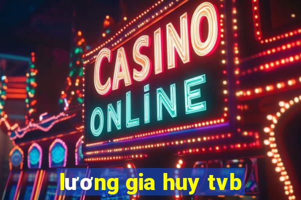 lương gia huy tvb