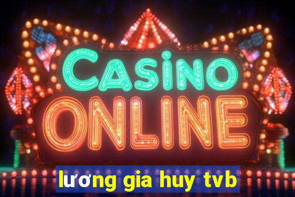 lương gia huy tvb