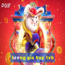 lương gia huy tvb