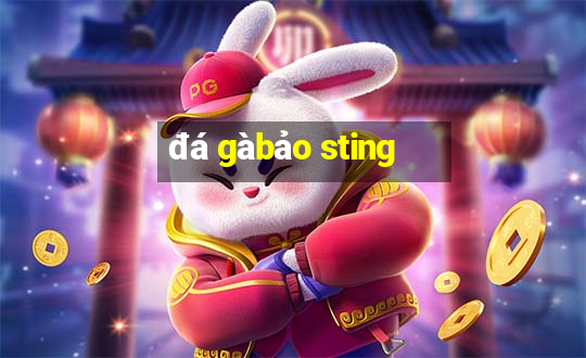 đá gà bảo sting