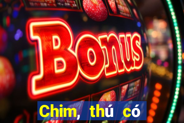 Chim, thú có thể rút