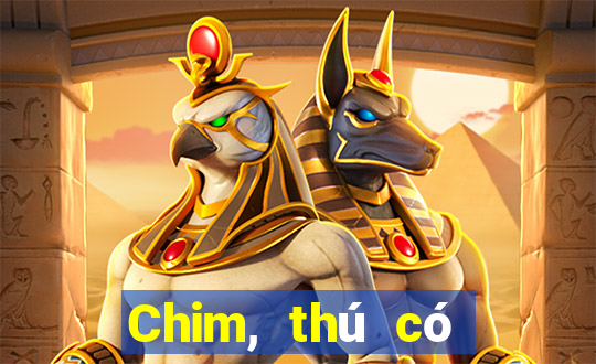 Chim, thú có thể rút