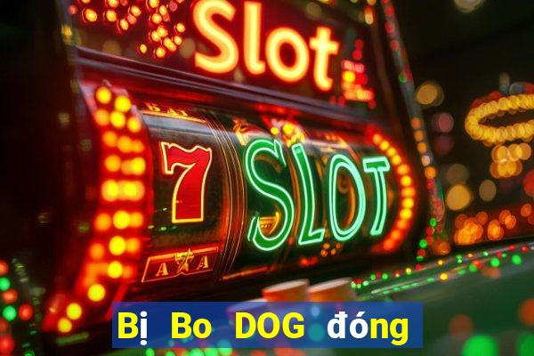 Bị Bo DOG đóng băng tài khoản