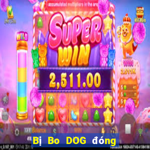 Bị Bo DOG đóng băng tài khoản