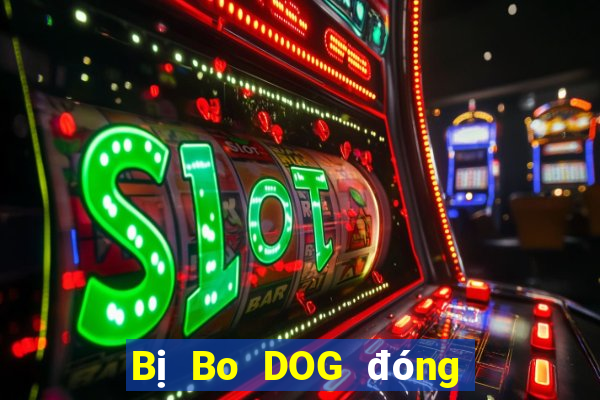 Bị Bo DOG đóng băng tài khoản