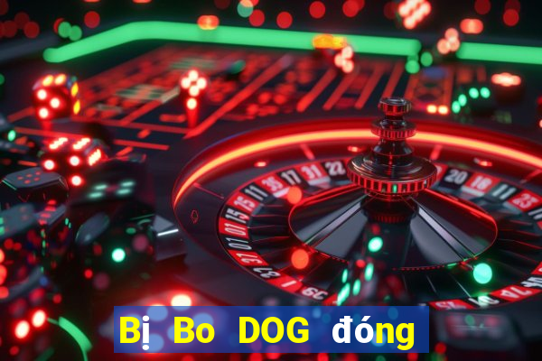 Bị Bo DOG đóng băng tài khoản