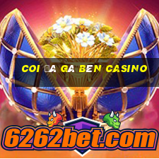 coi đá gà bên casino