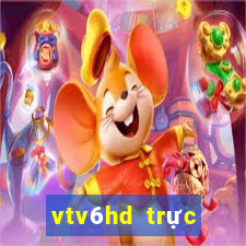 vtv6hd trực tiếp bóng đá