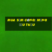 mua sắm công: mạng đấu thầu