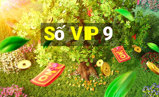 Số VIP 9