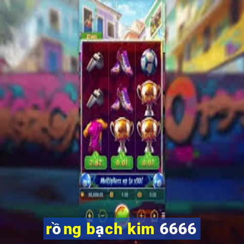 rồng bạch kim 6666