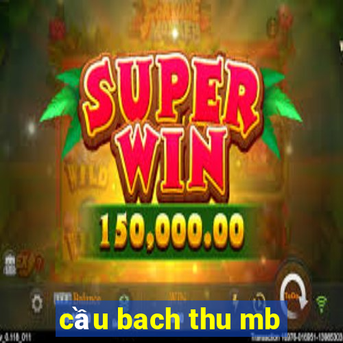 cầu bach thu mb