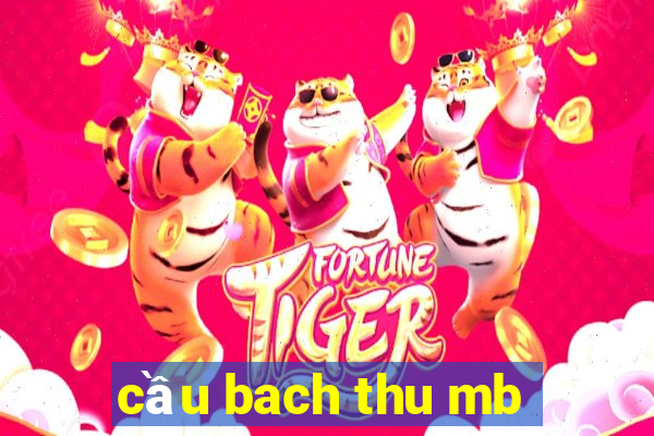 cầu bach thu mb