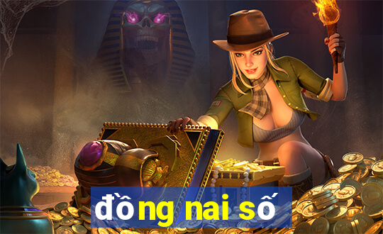 đồng nai số