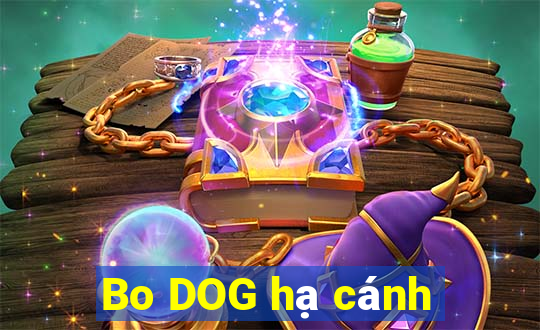 Bo DOG hạ cánh