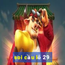 soi cầu lô 29