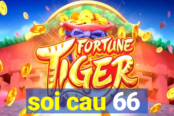 soi cau 66