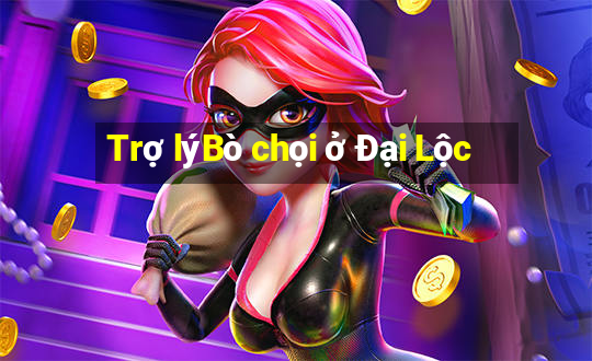 Trợ lýBò chọi ở Đại Lộc