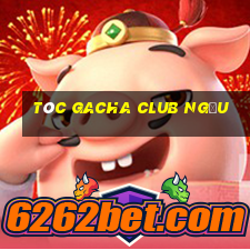 tóc gacha club ngầu