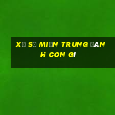 xổ số miền trung đánh con gì