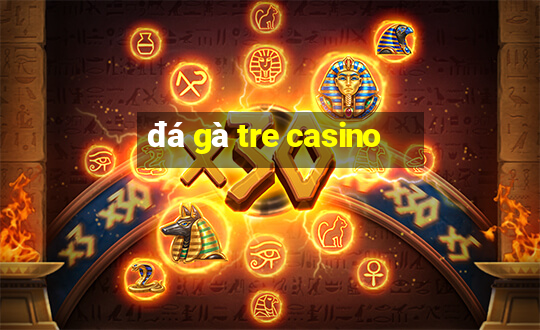 đá gà tre casino