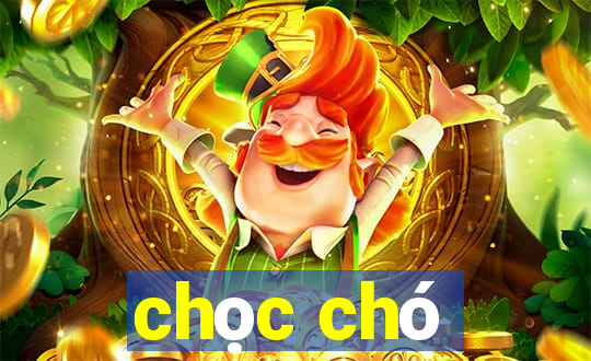 chọc chó