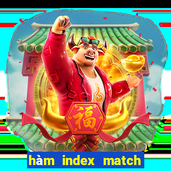 hàm index match trong excel