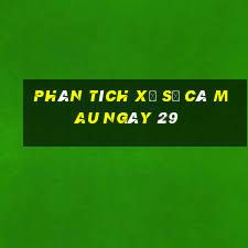 Phân tích Xổ Số Cà Mau ngày 29