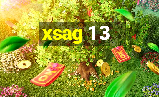 xsag 1 3