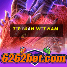 Tập đoàn Việt nam