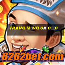 Trang mạng cá cược