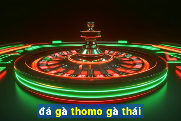 đá gà thomo gà thái