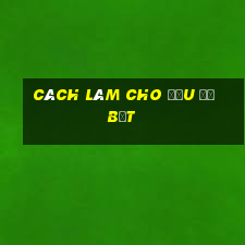 cách làm cho đầu đỡ bết