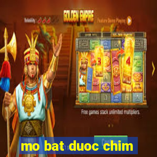 mo bat duoc chim