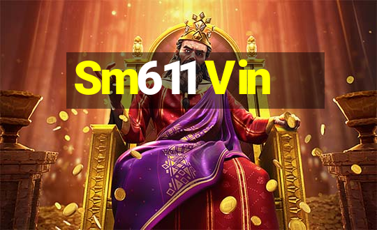 Sm611 Vin