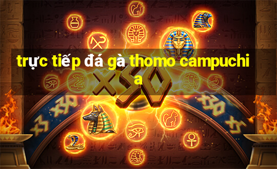 trực tiếp đá gà thomo campuchia