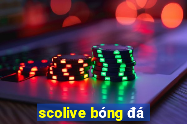 scolive bóng đá