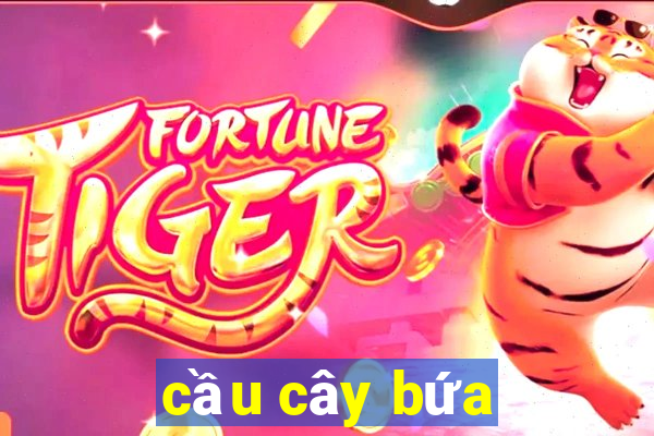 cầu cây bứa