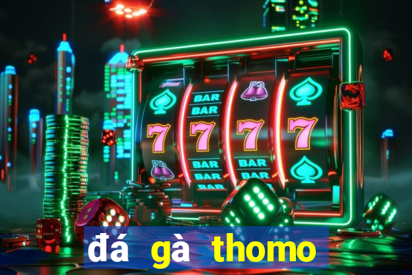 đá gà thomo trận 28 hôm qua