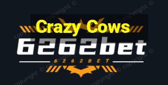 Crazy Cows