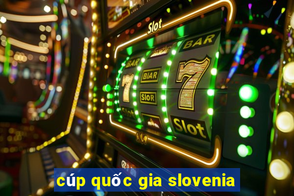 cúp quốc gia slovenia