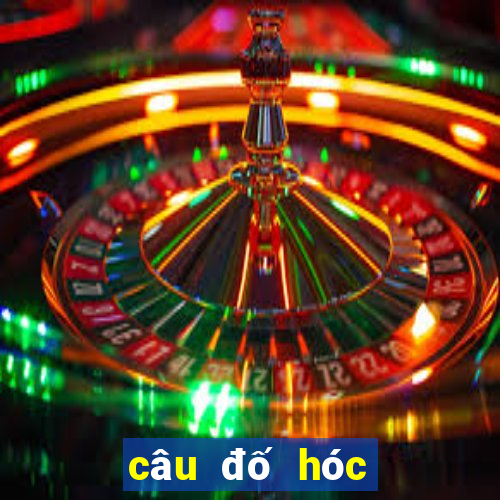 câu đố hóc búa hại não